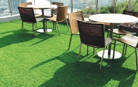 Artificial Lawn